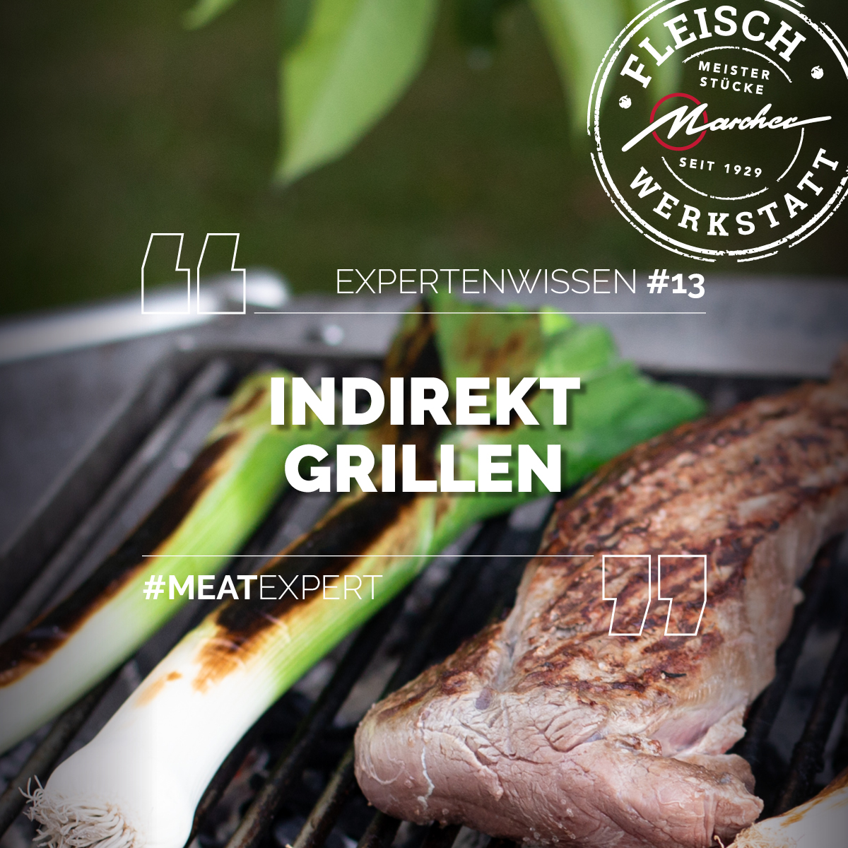 Ein Grillrost mit einem gegrillten Fleischstück und zwei angerösteten Frühlingszwiebeln. Darüber der Text: "Expertenwissen #13 Indirekt Grillen #MeatExpert".