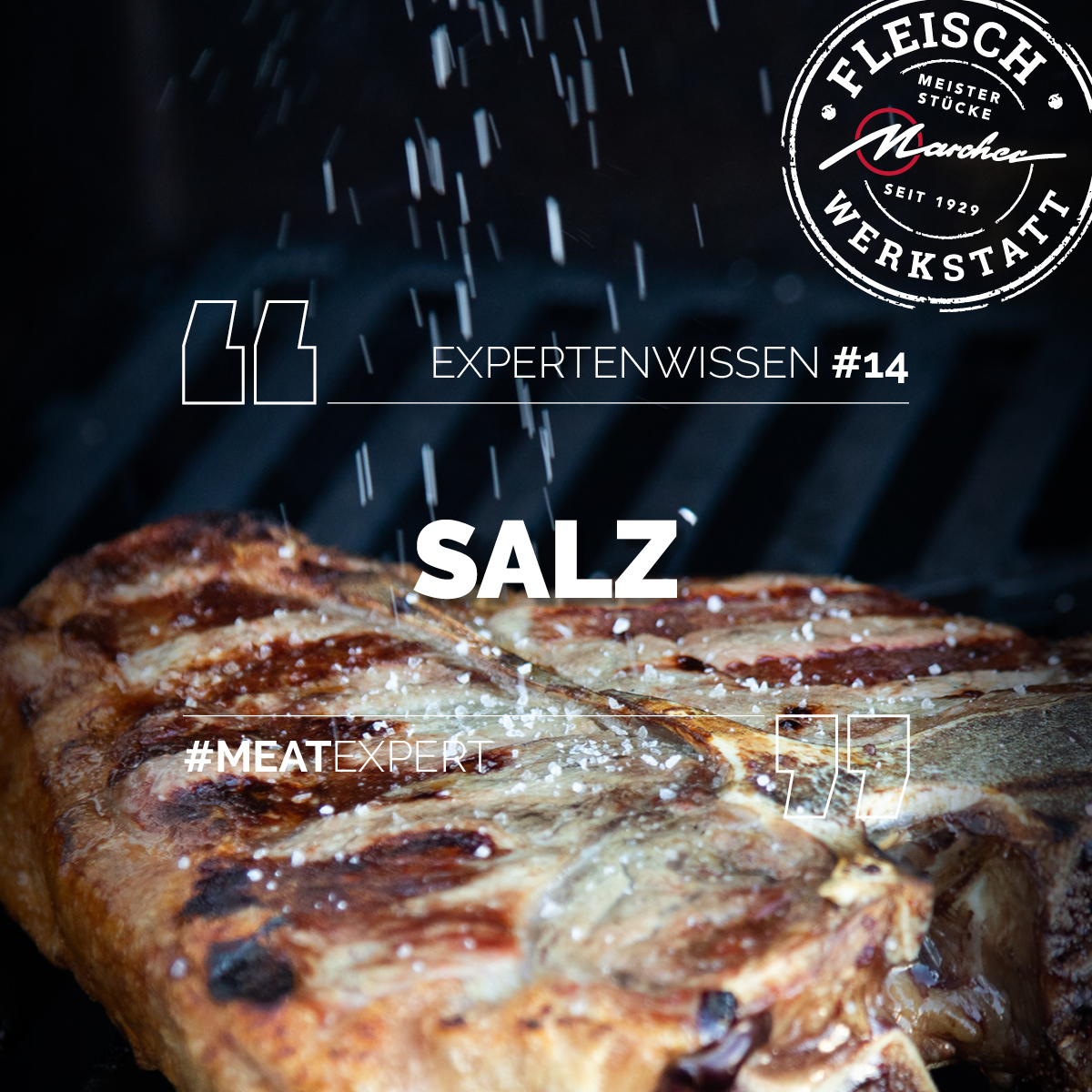 Gegrilltes Steak wird mit grobem Salz bestreut, Text: Expertenwissen #14 SALZ, Fleisch Werkstatt Logo, Hashtag #MEATEXPERT.